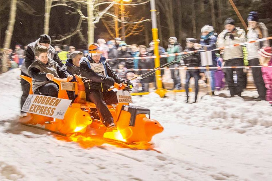 Hitschen in allen Ausbauvarianten stürzen sich heute beim "Hitschen Race" vom Pöhlberg.