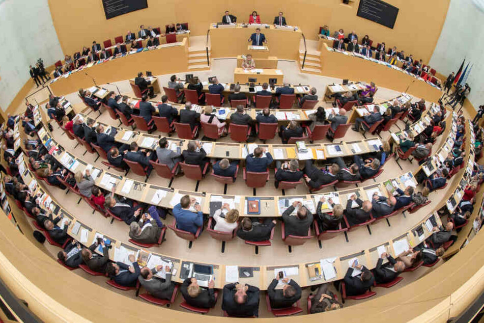 Die AfD ist schon mehrmals im Landtag aufgefallen, nun wurde ein Abgeordneter für seine Aussagen gerügt. (Archivbild)