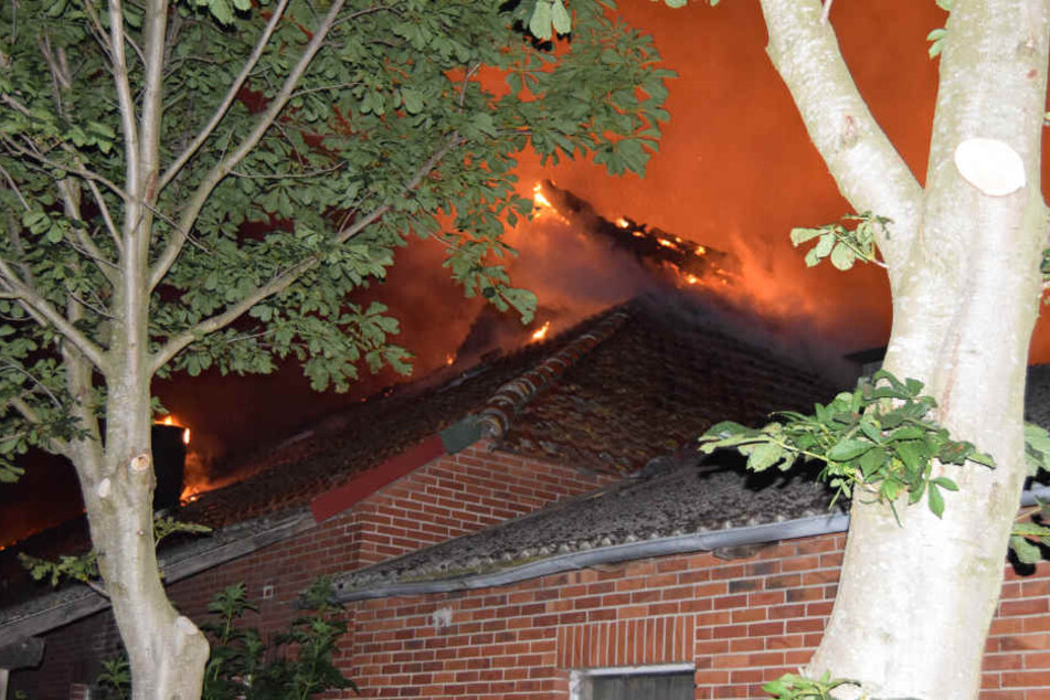 Das Feuer hinterließ einen riesigen Schaden im Betrieb.