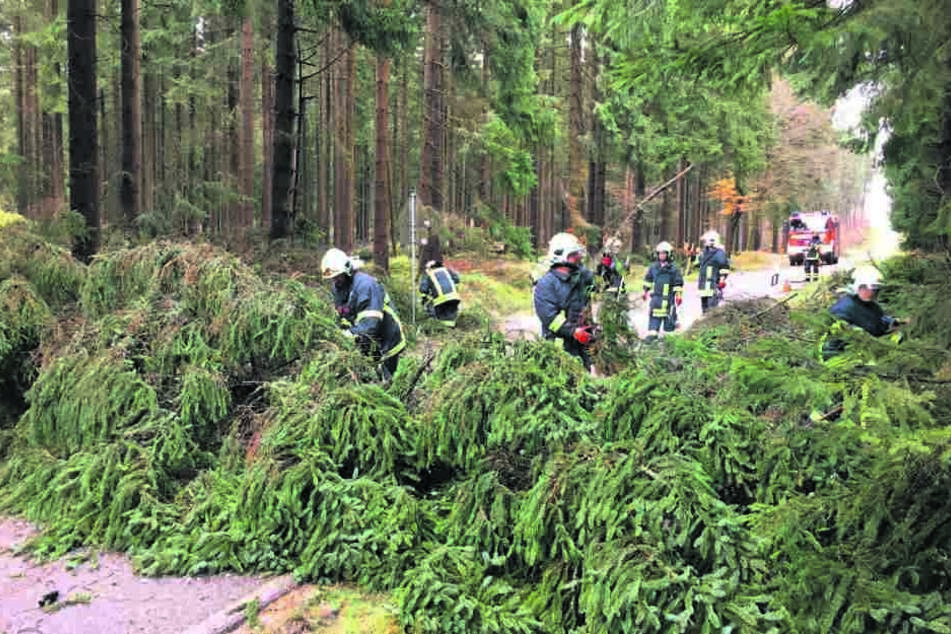 Die Behörden haben ein striktes Betretungsverbot für fast alle Wälder verhängt.