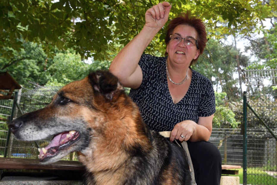 Gabi Votsmeier nimmt die Tiere auf.
