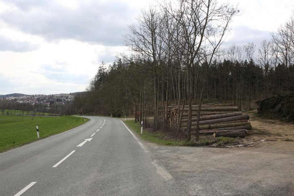 An diesem Waldstück bei Voigtsgrün musste die damals 18-Jährige sterben.