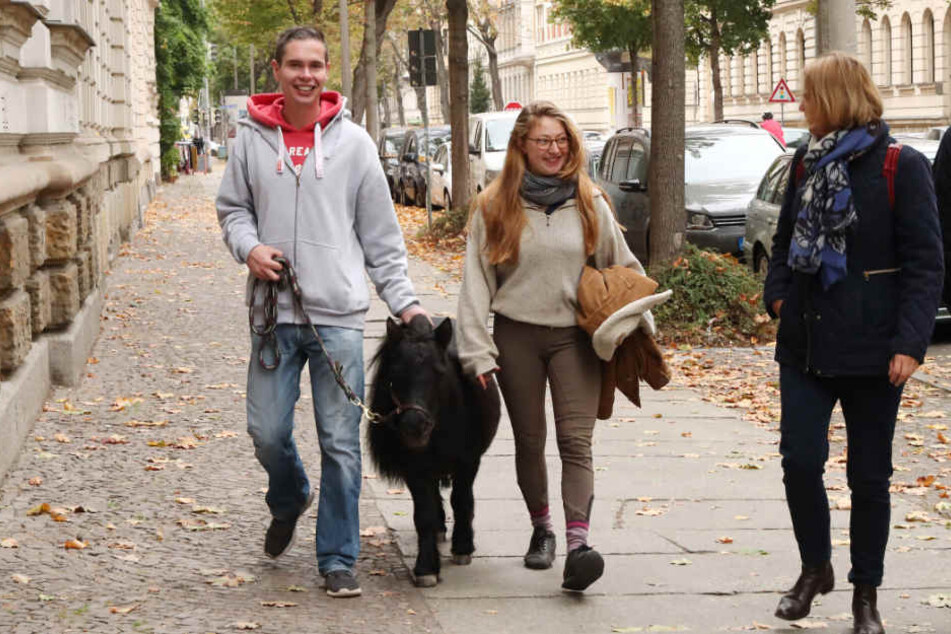 Marcus, Pepper und Ida beim Stadtbummel. Reiten ist - man ahnt es - leider nicht drin.