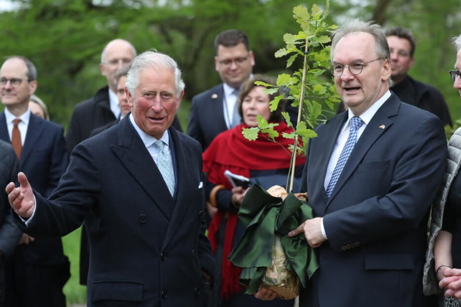 Auf seiner Deutschlandreise macht Prinz Charles am Mittwoch auch Halt in Dessau, wo er zusammen mit Ministerpräsident Haseloff einen Baum pflanzte.