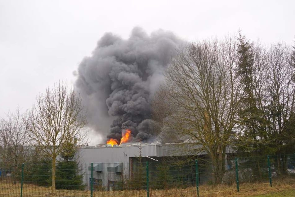 Mitarbeiter hatten zunächst versucht den Brand zu löschen.
