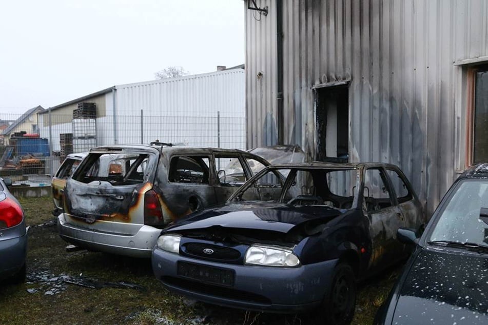 Die ausgebrannten Autos stehen vor dem durch die Flammen beschädigten Autohausgebäude.