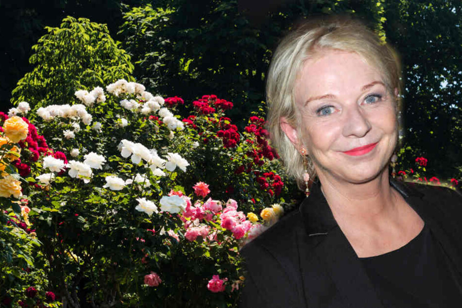 Rita Falk (54) arbeitet am liebsten im Garten.