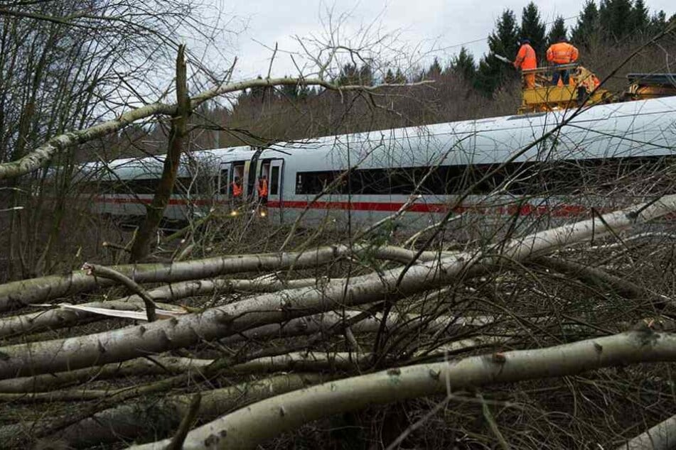 Bäume und Äste liegen bei Lamspringe (Niedersachsen) auf der ICE-Trasse zwischen Hannover und Göttingen und blockieren einen Zug.