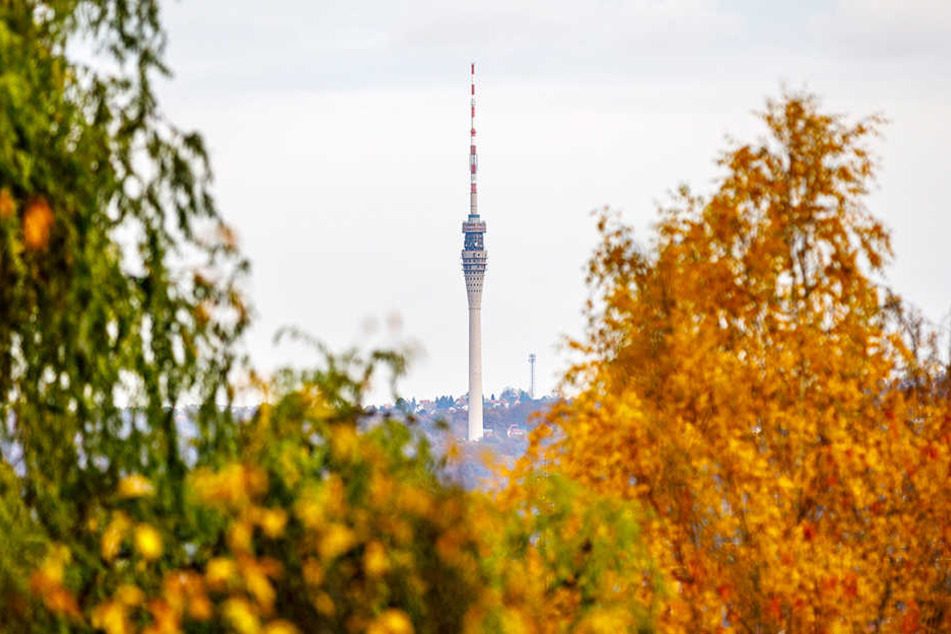 An der möglichen Fernsehturm-Sanierung will keine Fraktion tatsächlich mehr rütteln.
