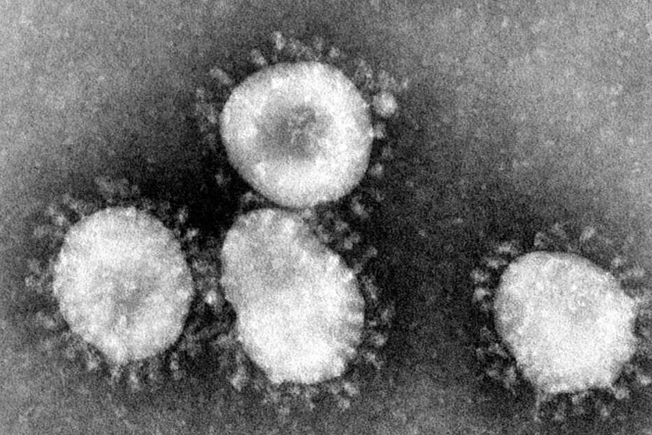 Dieses undatierte Handout des amerikanischen Centers for Disease Control (CDC) zeigt einen Coronavirus unter dem Mikroskop. (Aufnahme vom April 2003).