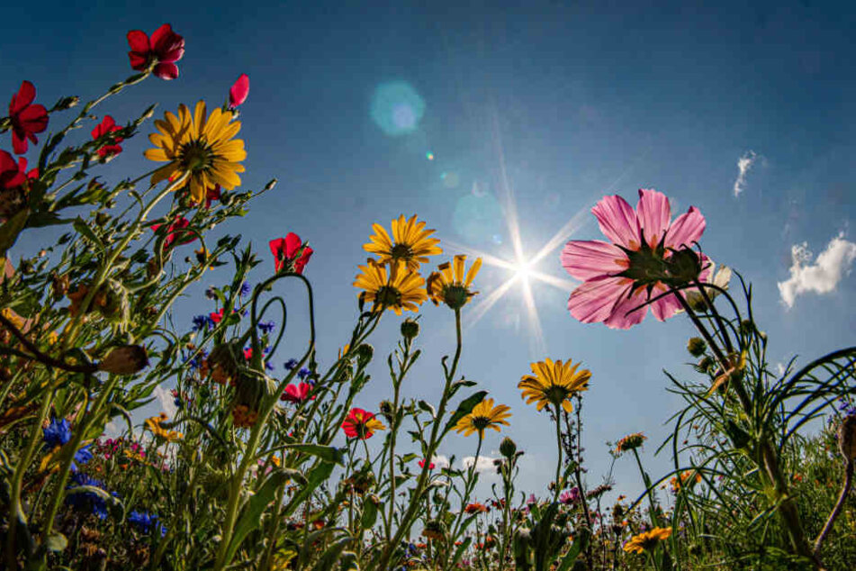 Nachts können die Temperaturen unter zehn Grad fallen.