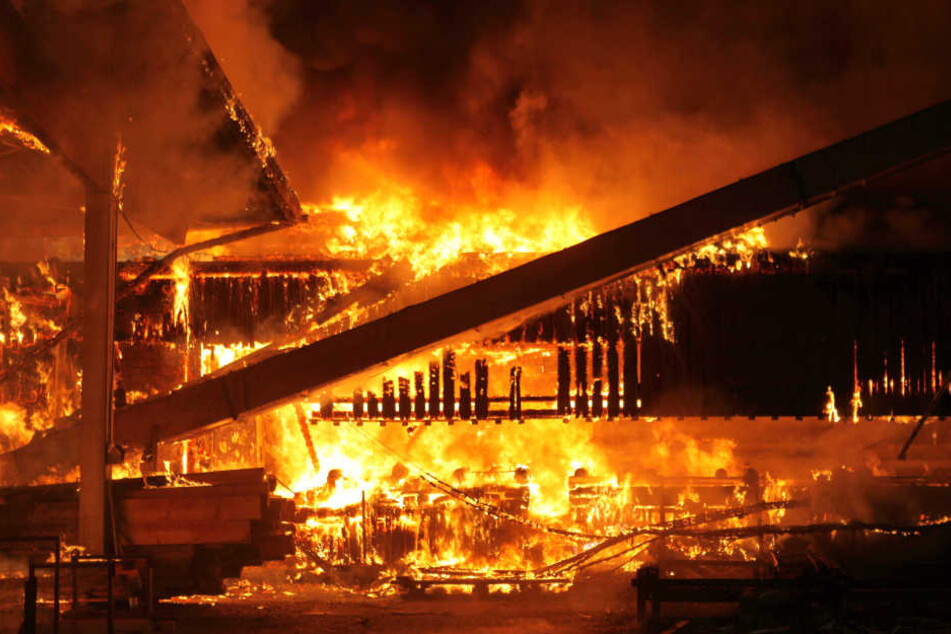 Das komplette Sägewerk ist in Flammen gehüllt.