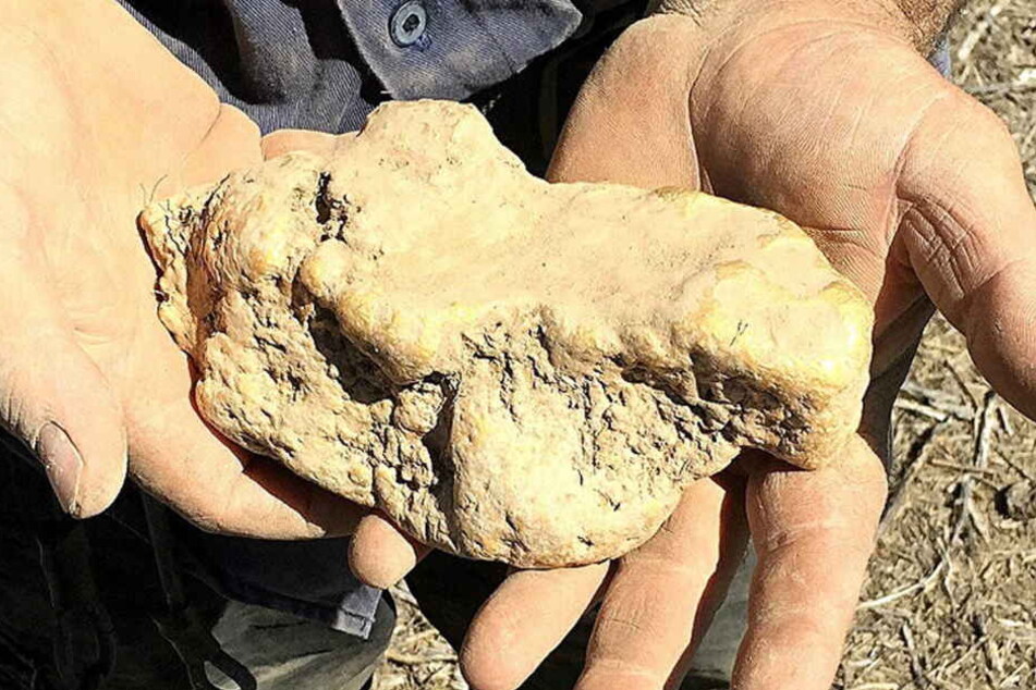 Ungesäubert sieht der Goldklumpen wenig spektakulär aus. Tatsächlich ist er aber schlappe 170.000 Euro wert!