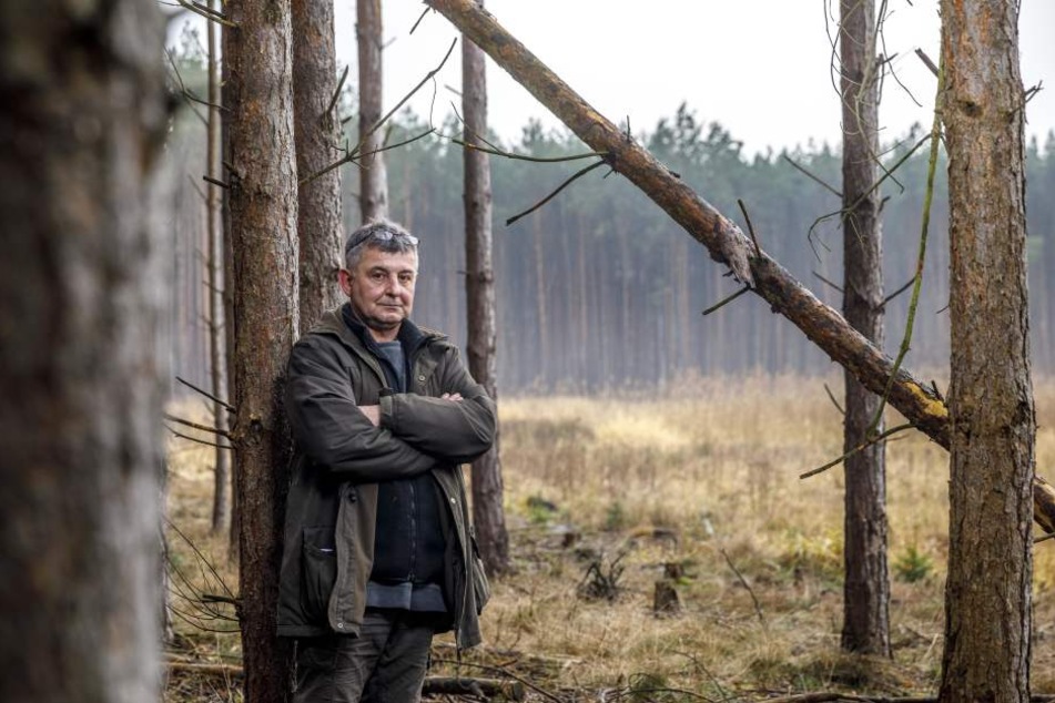 Peter Graf (53) ist sauer: In seinem Wald sterben die Bäume ab.