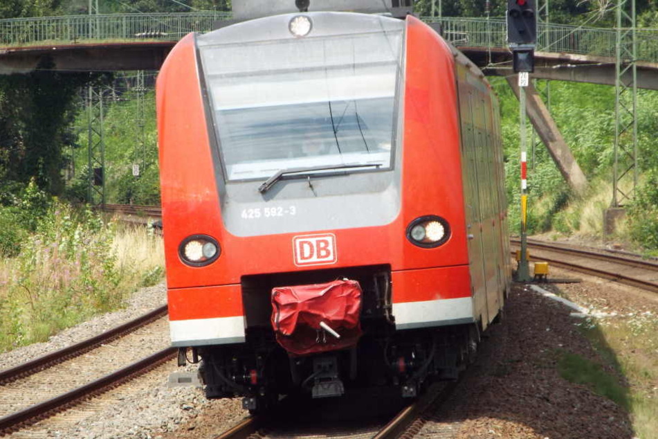 Das Mädchen bemerkte den Zug erst, als die Bahnfahrerin hupte. (Symbolbild)