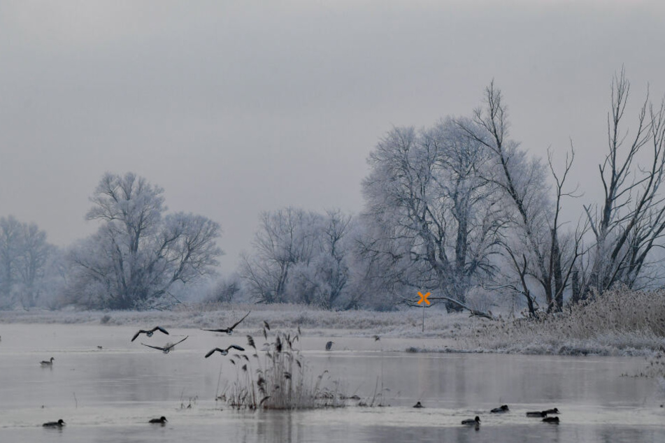Sie sollen eine 33-Jährige im Januar in die eiskalte Oder gestoßen haben (Symbolbild).