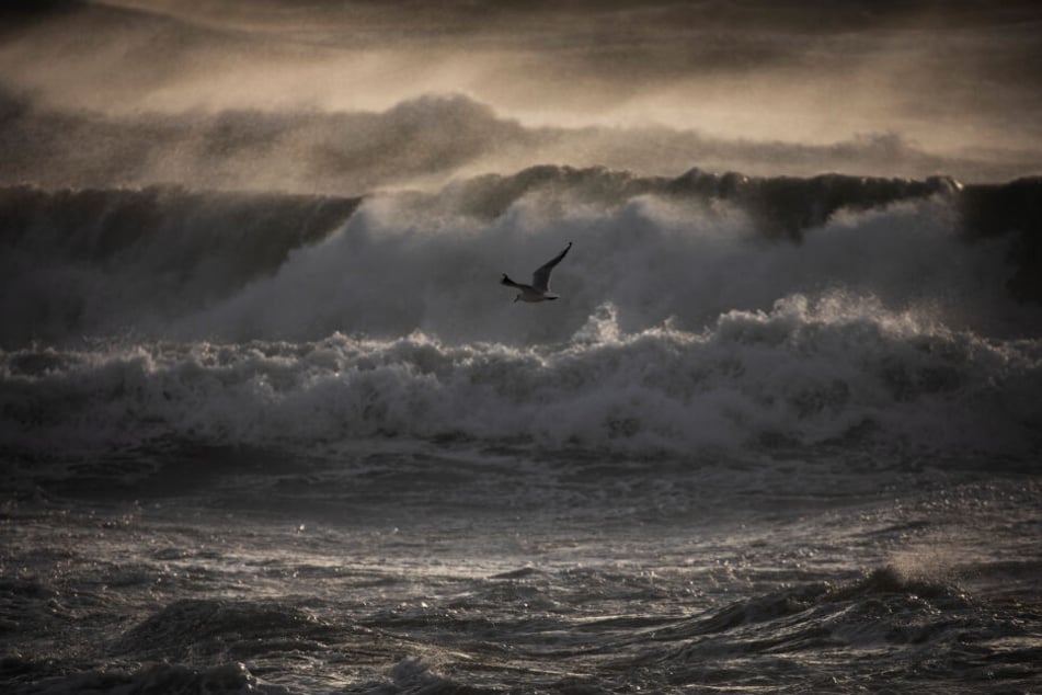 Eine Möwe überfliegt das tosende Mittelmeer bei starkem Wind in Barcelona. Der staatliche Wetterdienst Aemet meldet Rekordwellen.