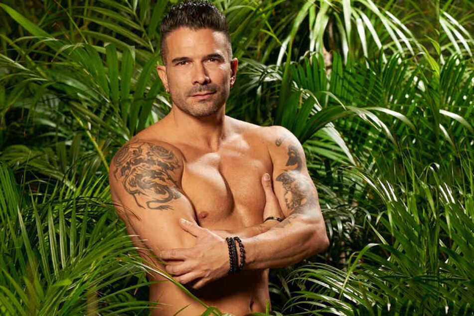 Marc Terenzi ist der amtierende Dschungelkönig. Für den 38-Jährigen und seine Anja (29) könnten schon bald die Hochzeitsglocken läuten.