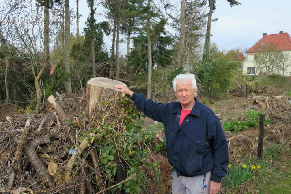 Im Mai jagte ihn die Kirche nach über 50 Jahren von seinem Grundstück. Jetzt ist von Christian Teichmanns einzigartiger Baum- und Pflanzenweelt kaum noch etwas übrig.