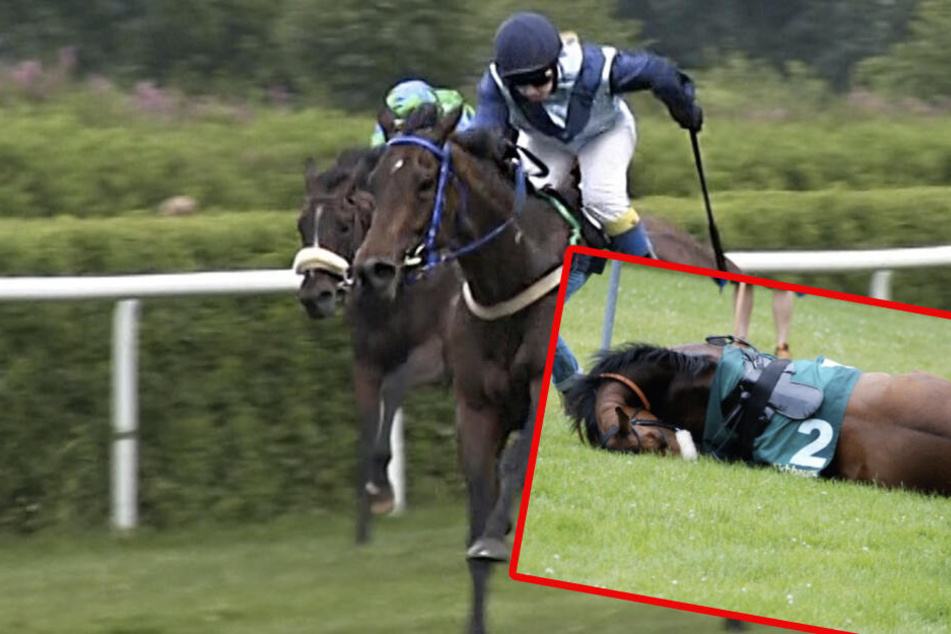 Die Peta spricht sich gegen Pferdewetten aus. (Symbolbild)