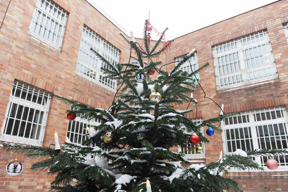 in Weihnachtsbaum steht in einem Innenhof der Jugendstrafanstalt in Berlin.