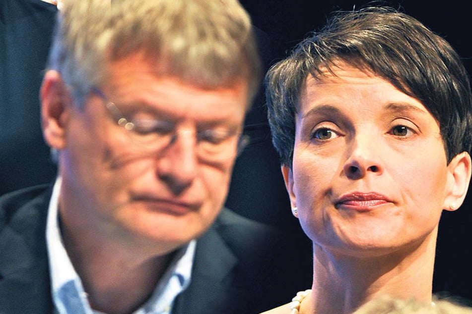 Höhenflug vorerst gestoppt: Die Umfragen machen die AfD-Chefs Frauke Petry (41) und Jörg
Meuthen (55) nicht gerade glücklich.
