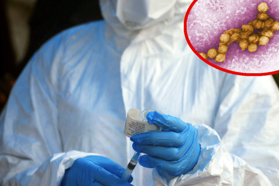 Allein in der EU sind in diesem Jahr 142 Menschen am West-Nil-Virus gestorben. (Symbolbild)