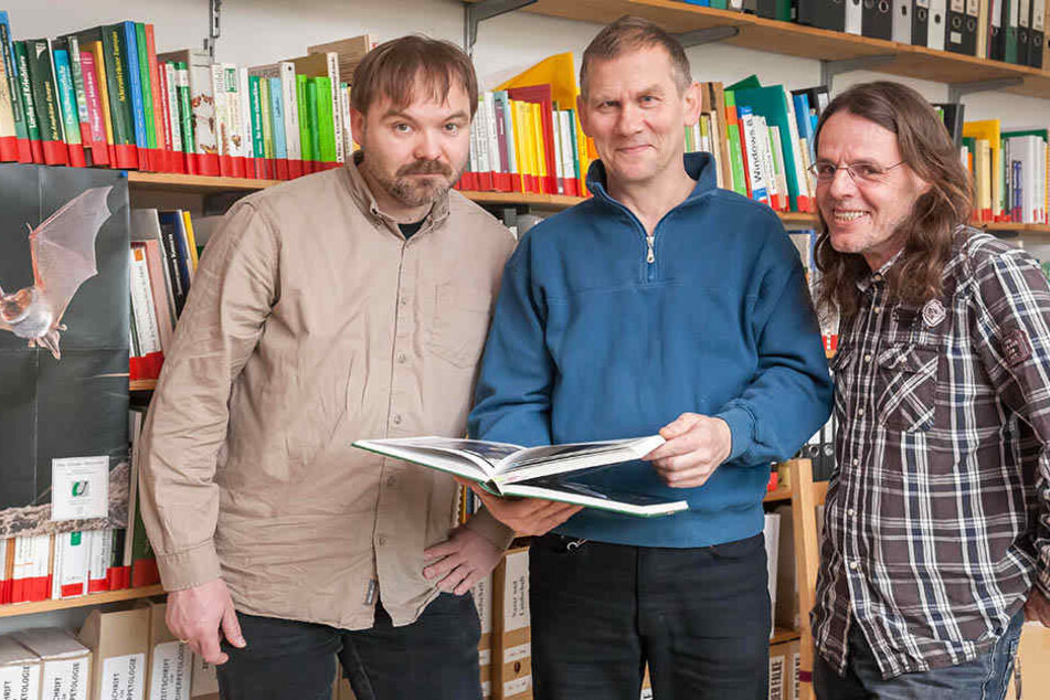 René Sievert (44, v.l.), Wolfgang Kulick (58)
und Andreas Woiton (54) setzen sich in Leipzig
und Umgebung für den Fledermausschutz ein.