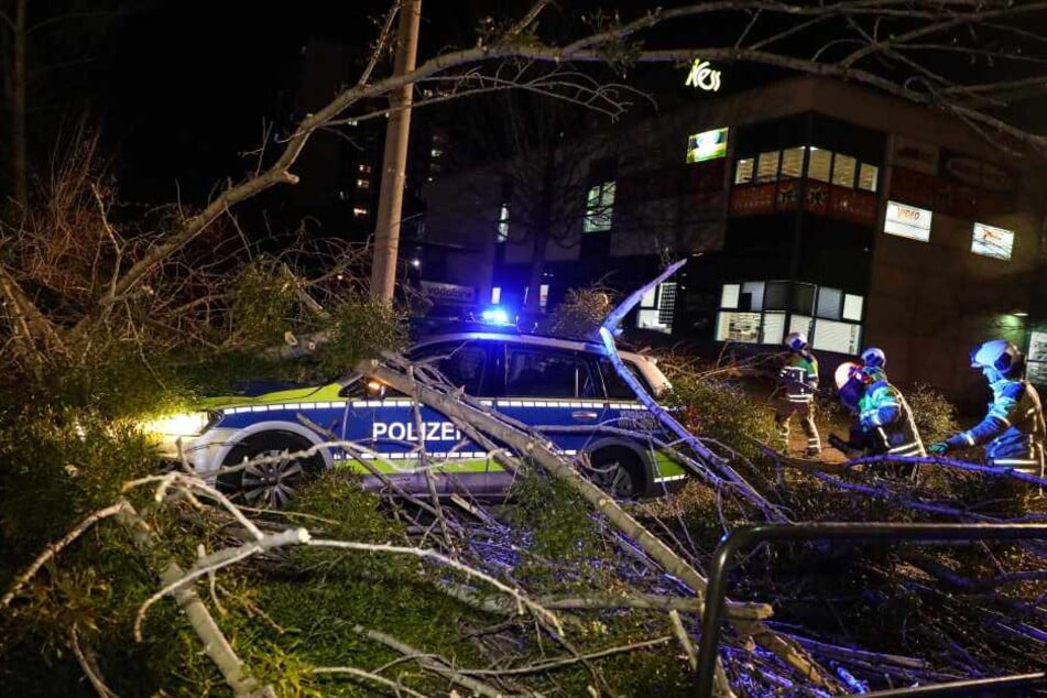 In Dresden krachte ein Baum auf einen Polizeiwagen. Ein Polizist wurde verletzt.