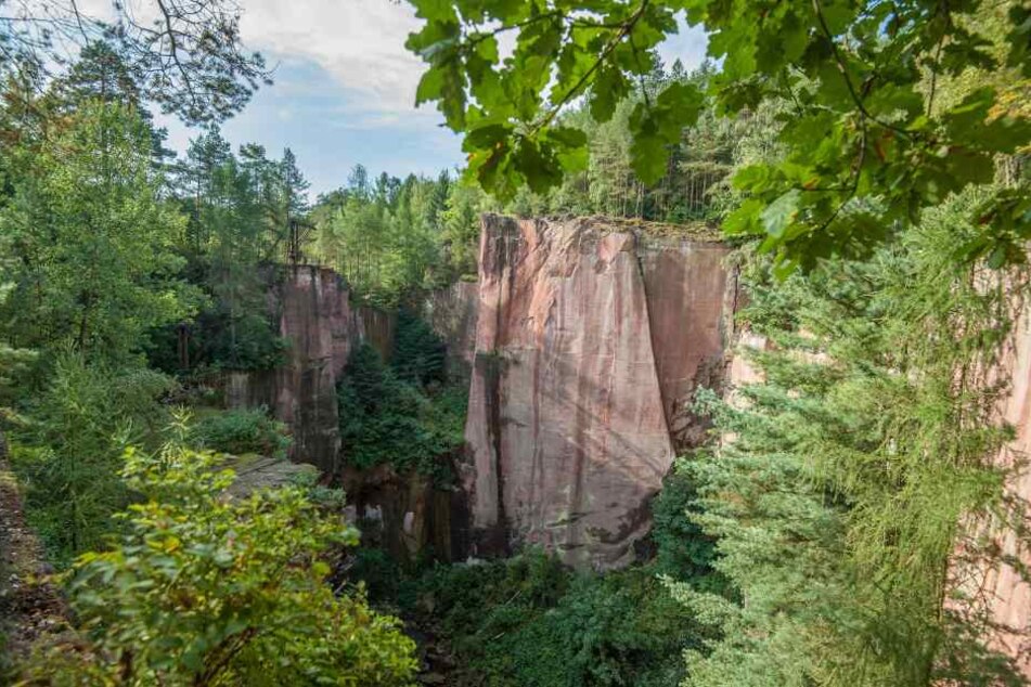 Blick in den Gleisbergbruch: Dort wurde einst Porphyr abgebaut. Wer heute
hier klettern will, muss sich zuerst über 30 Meter tief abseilen.