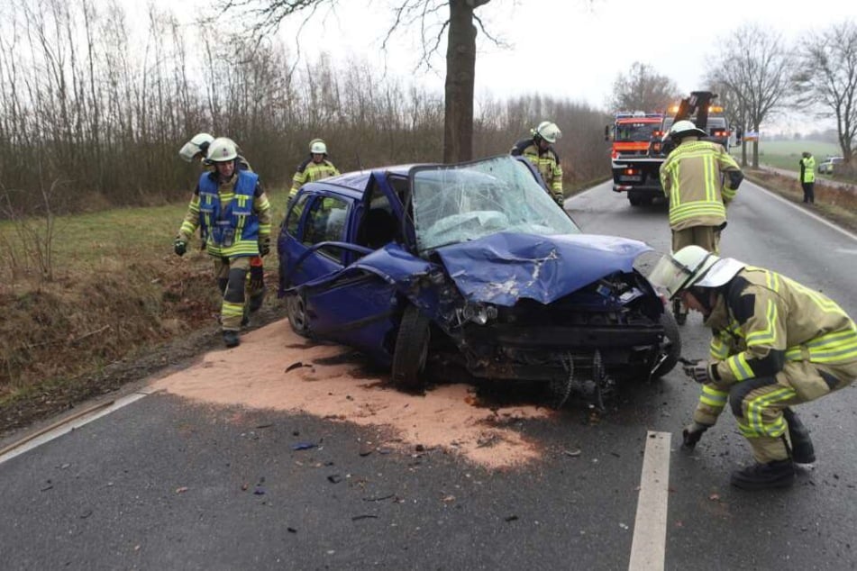 Das Auto krachte gegen einen Baum.