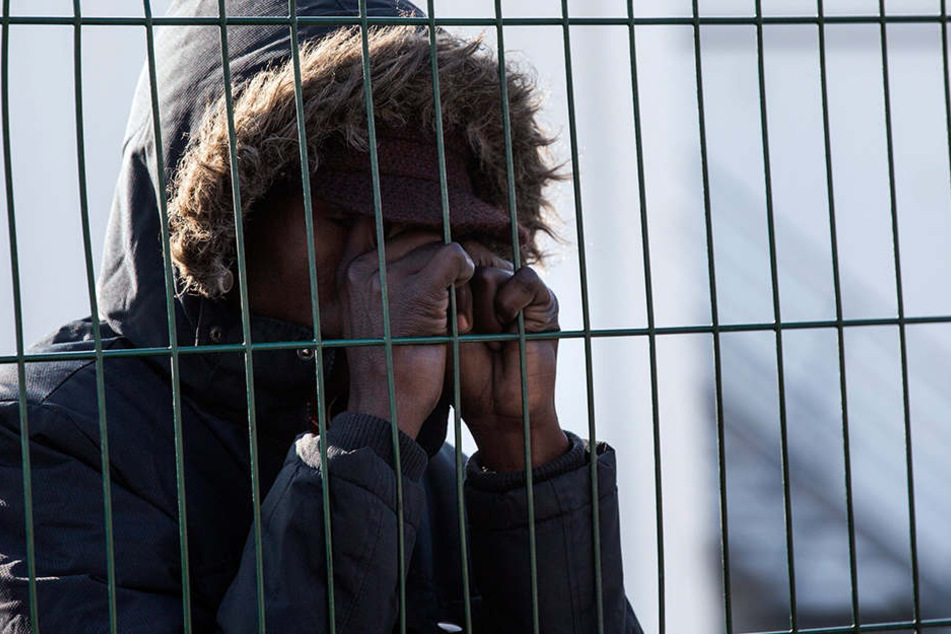 Behörden schätzen, dass sich im "Dschungel" bis zu 200 Aktivisten der "No-Border-"Bewegung aufhalten.