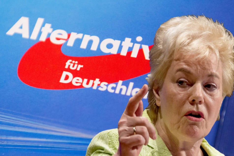 Die AfD erkennt die von Ex-CDU-Politikerin Erika Steinbach (74) geleitete Stiftung nicht als parteinah an. (Bildmontage)