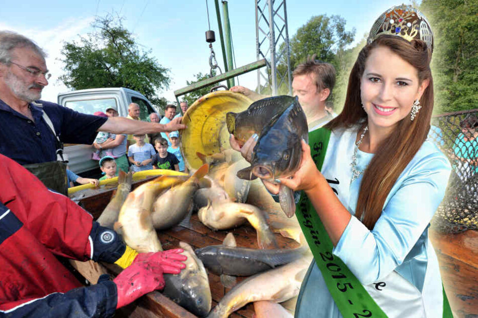 Die 16. Sächsische Fischkönigin Sarah Appenfelder präsentiert sich standesgemäß mit einem stattlichen Karpfen.