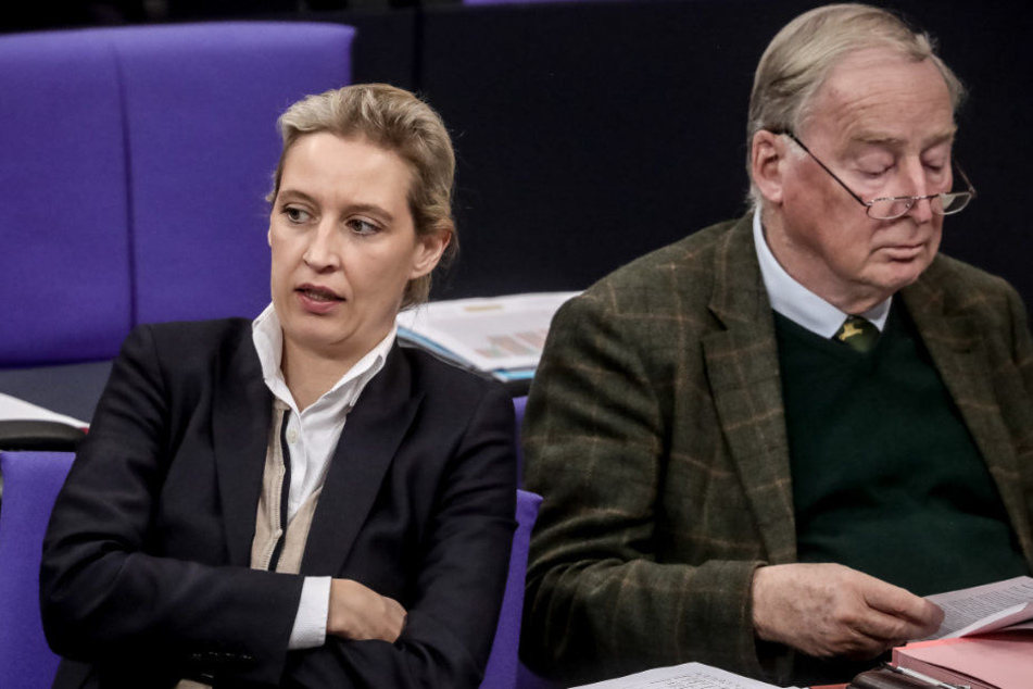 Alice Weidel kassierte einen Ordnungsruf.