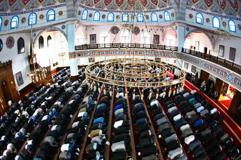 Zum "Tag der offenen Moschee" kann man einen Blick in die muslimischen Gotteshäuser werfen.