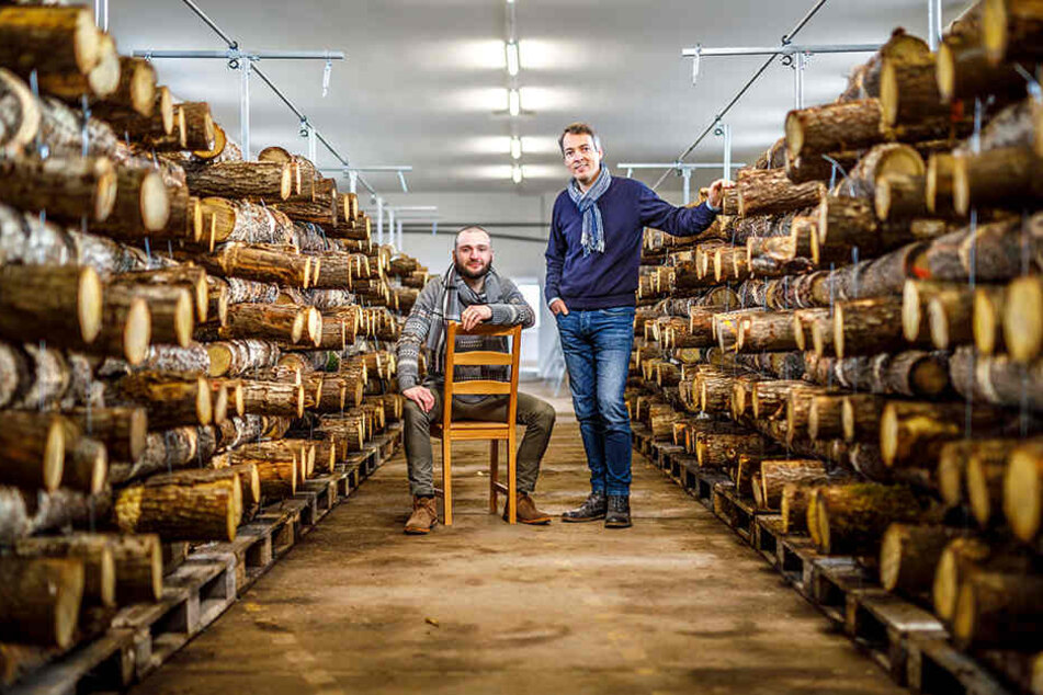 Die Öko-Genossen Karl Kretschmer (l., 28) und Jens-Uwe Sauer (r., 45) denken in großen Dimensionen. Sie wollen klotzen. Nicht kleckern.