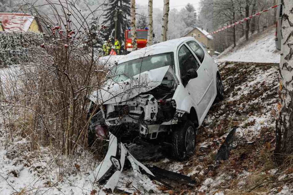 Der Twingo landete auf dem Weg von Mohorn nach Herzogswalde frontal am Baum.