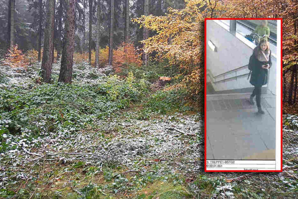 Im Fall der vermissten Hamburger Polizistin hat die Polizei am Dienstag eine neue Suchaktion im Sachsenwald gestartet.