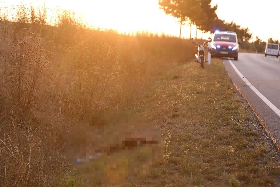 Das Wildschwein erlag seinen Verletzungen.