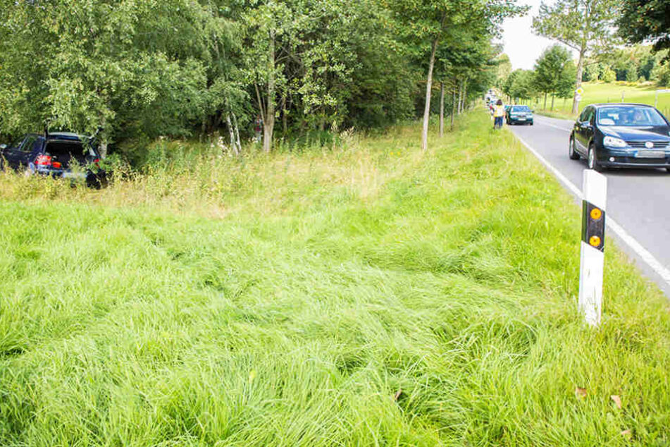 Der Fahrer des VW kam von der Fahrbahn ab, fuhr noch mehrere Meter über eine Wiese und kam an einem kleinen Birkenwäldchen zum Stehen.