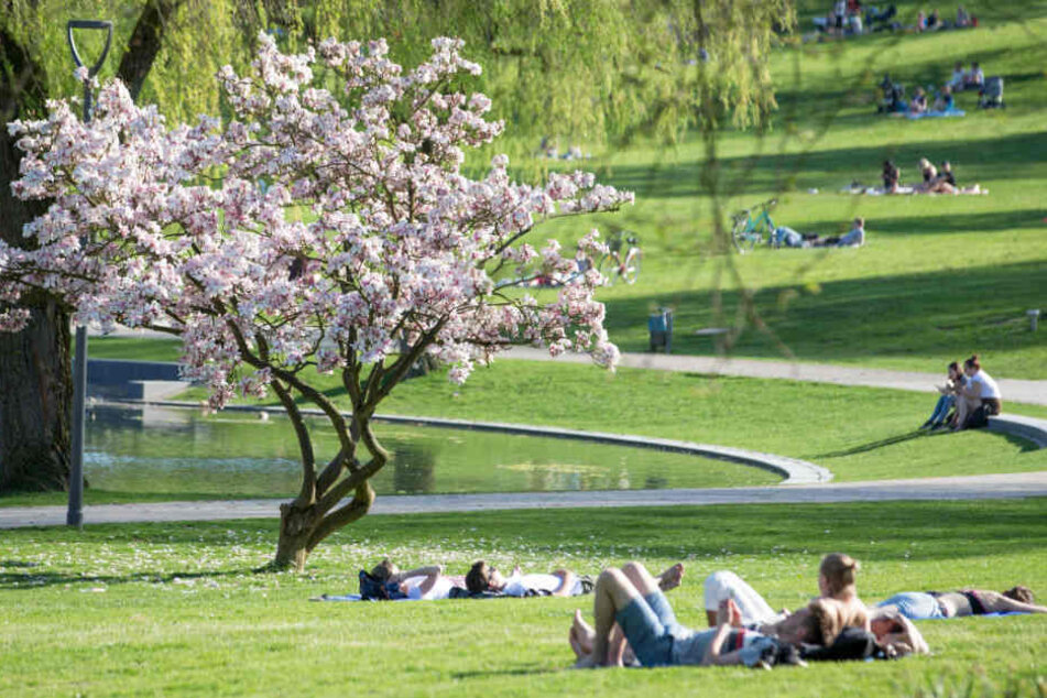 Draußen im Park genießen viele Menschen das warme Frühlingswetter. (Symbolbild)