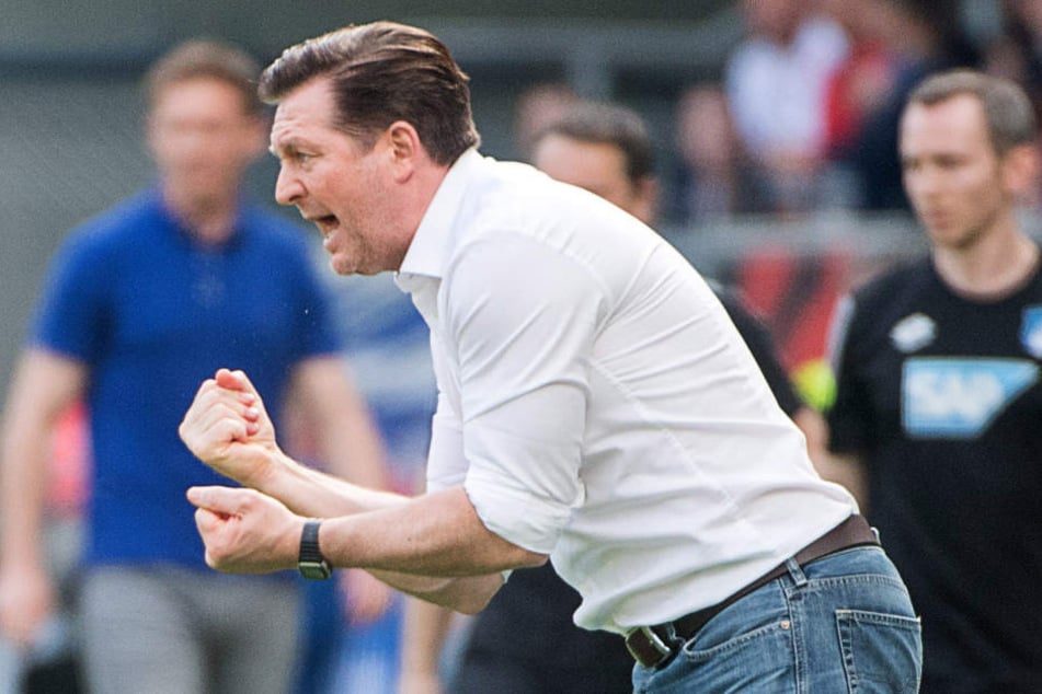HSV-Trainer Christian Titz hat von Anfang an auf Holtby gesetzt.