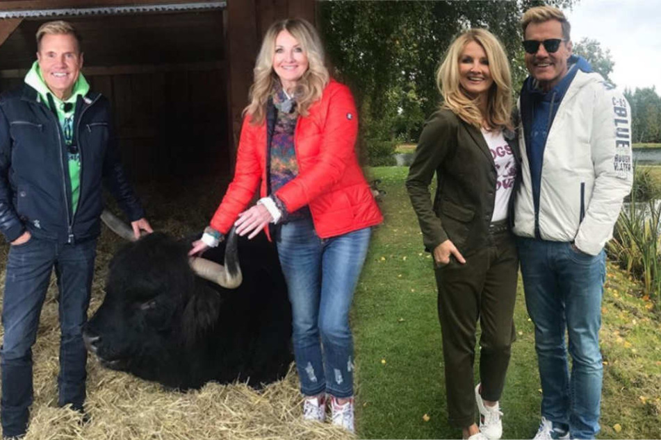 Auch Stars und Sternchen lassen sich gerne mal zu Wetten hinreißen.