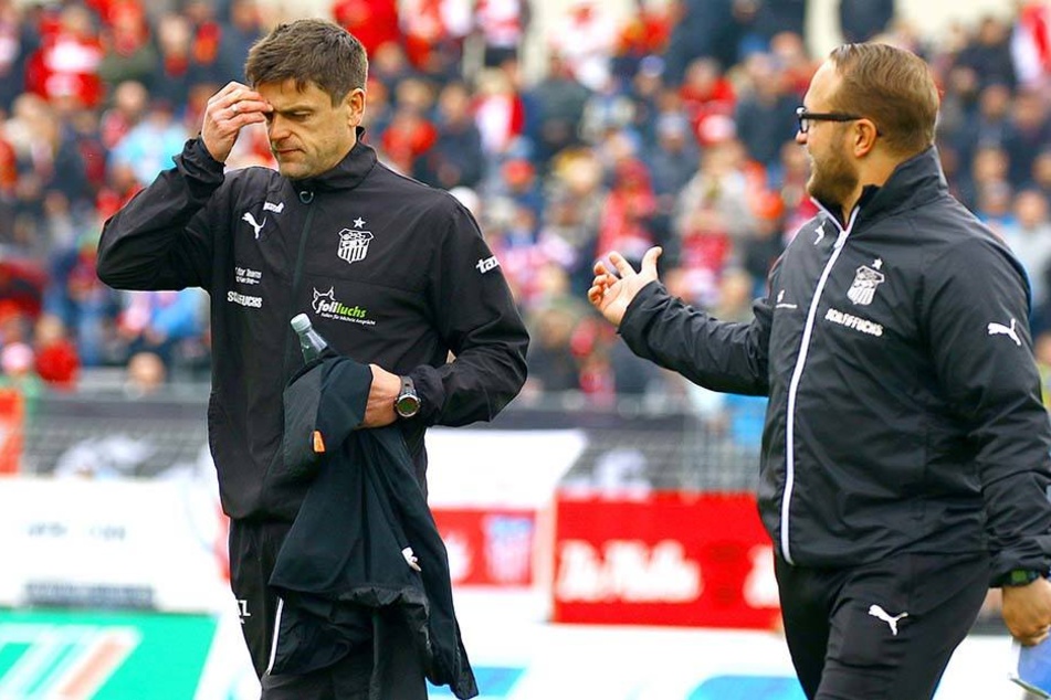 Zwickaus Trainer und sein Co. beratschlagen über die aktuelle Situation.