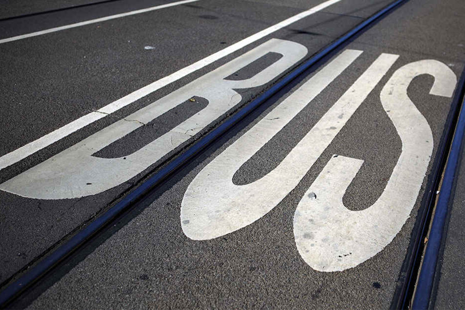 Im Herbst diesen Jahres soll die neue Buslinie in Betrieb genommen werden.