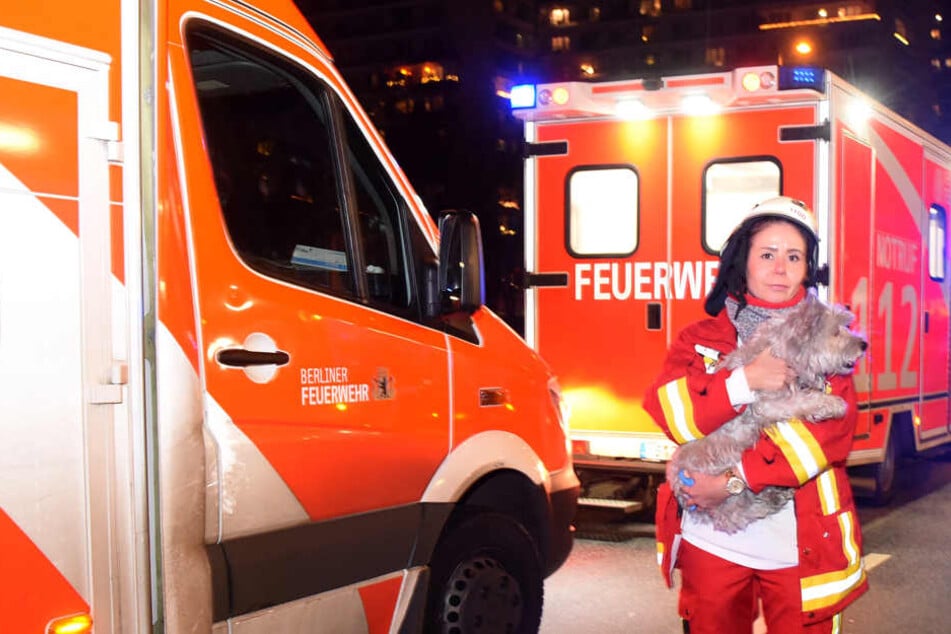 Eine Rettungssanitäterin steht mit einem Hund an der Leipziger Straße vor einem Wohnhaus. Der Vierbeiner wurde bei einem Wohnungsbrand von den Rettungskräften vor den Flammen gerettet.