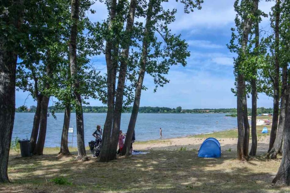 Der Barleber See in Magdeburg musste wegen Blaualgenbefalls geschlossen werden.