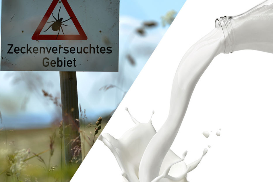Es gibt Krankheitsfälle, die durch Rohmilch und Rohmilchkäse entstanden.