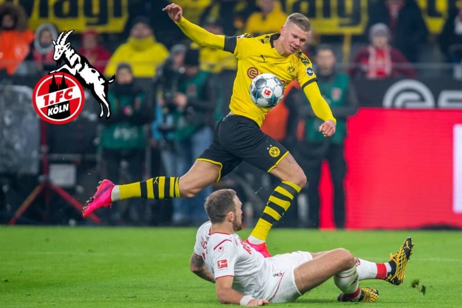 BVB eine Nummer zu groß: Warum Köln in Dortmund unterging